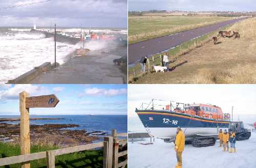 Just a few of the other delights at Seahouses during the various seasons of the year.