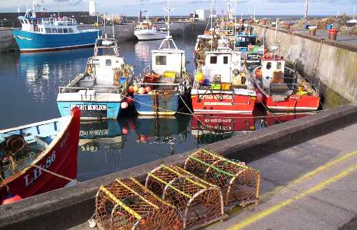 Fishing and tour boats feature in the busy harbour at Seahouses.