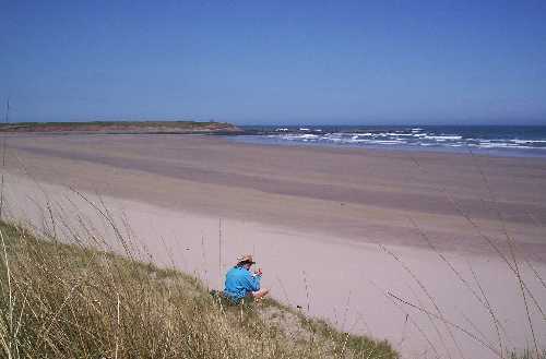 The wide open spaces of a typical Seahouses sandy beach.