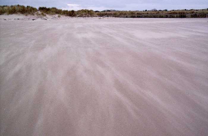 Sand blowing towards us on Seahouses south (Annstead) beach.