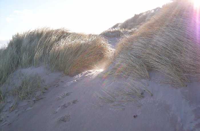 A gale can effortlessly blow sand uphill.