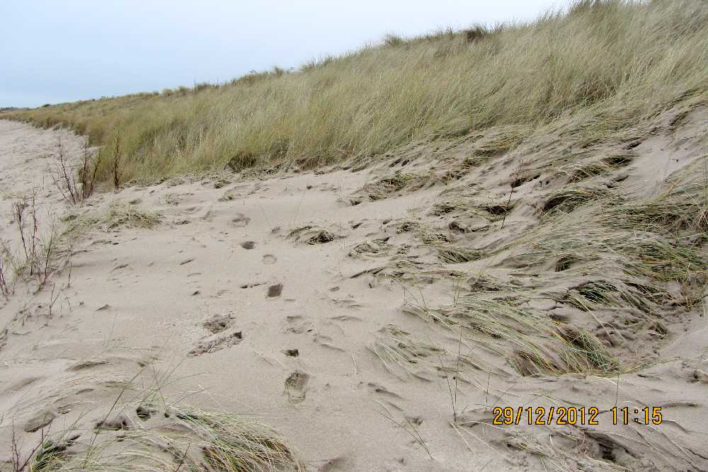 Winter on Annstead beach.