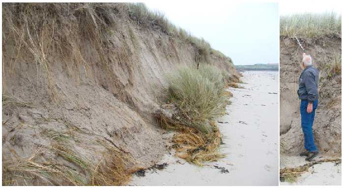 Annstead sand cliffs.