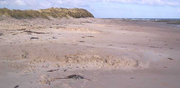 Seahouses north beach again.