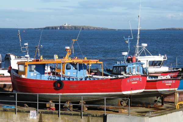 Looking across the harbour and out to Inner Farne.