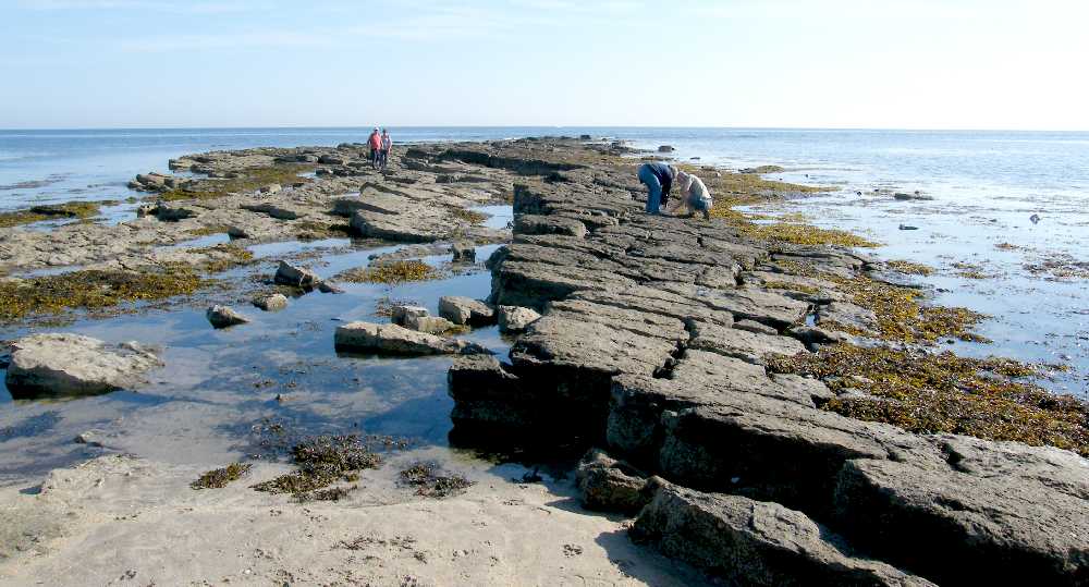 Two-thirds of the way south towards Beadnell.