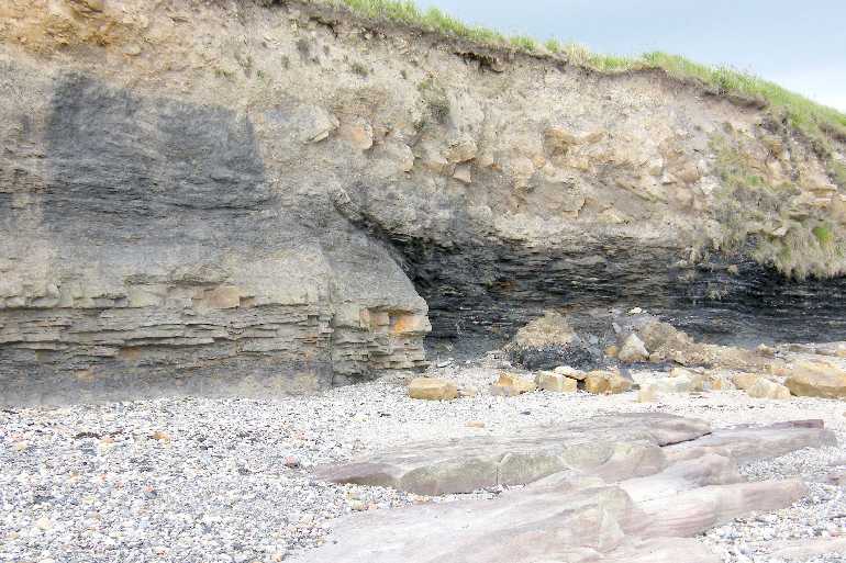 Braidcarr, below the caravan park.