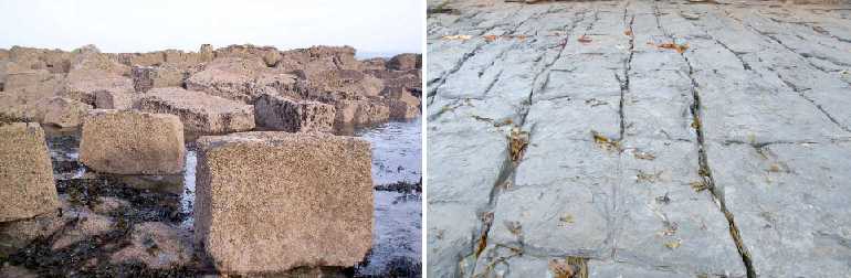 Limestones north and south of Seahouses.