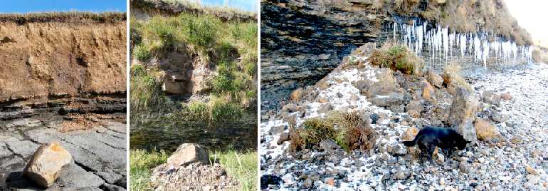 Various sites south of Seahouses.