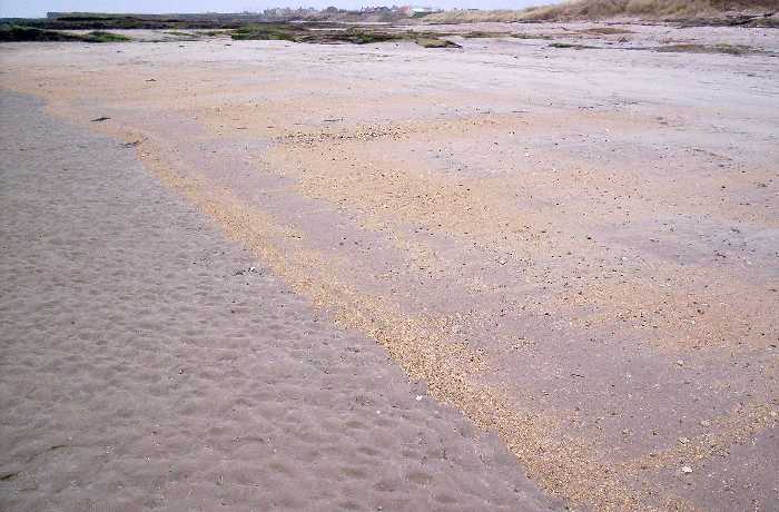 Near the Linkhouse on Seahouses south (Annstead) beach.