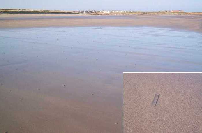 Looking towards the golf course and village from Seahouses south (Annstead) beach.