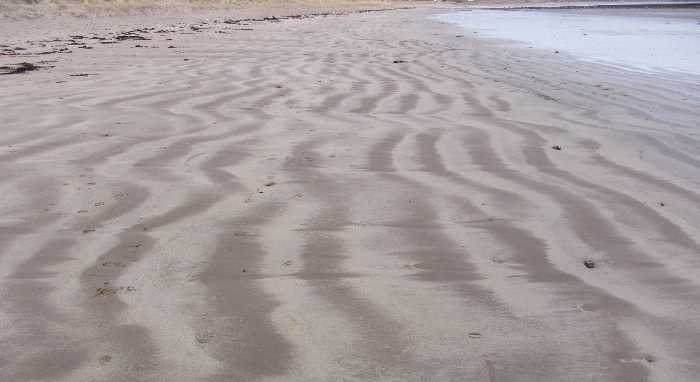 The beach and dunes south of Seahouses golf course.