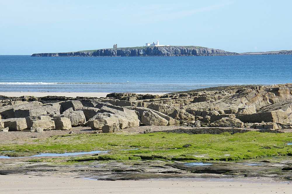 Inner Farne.