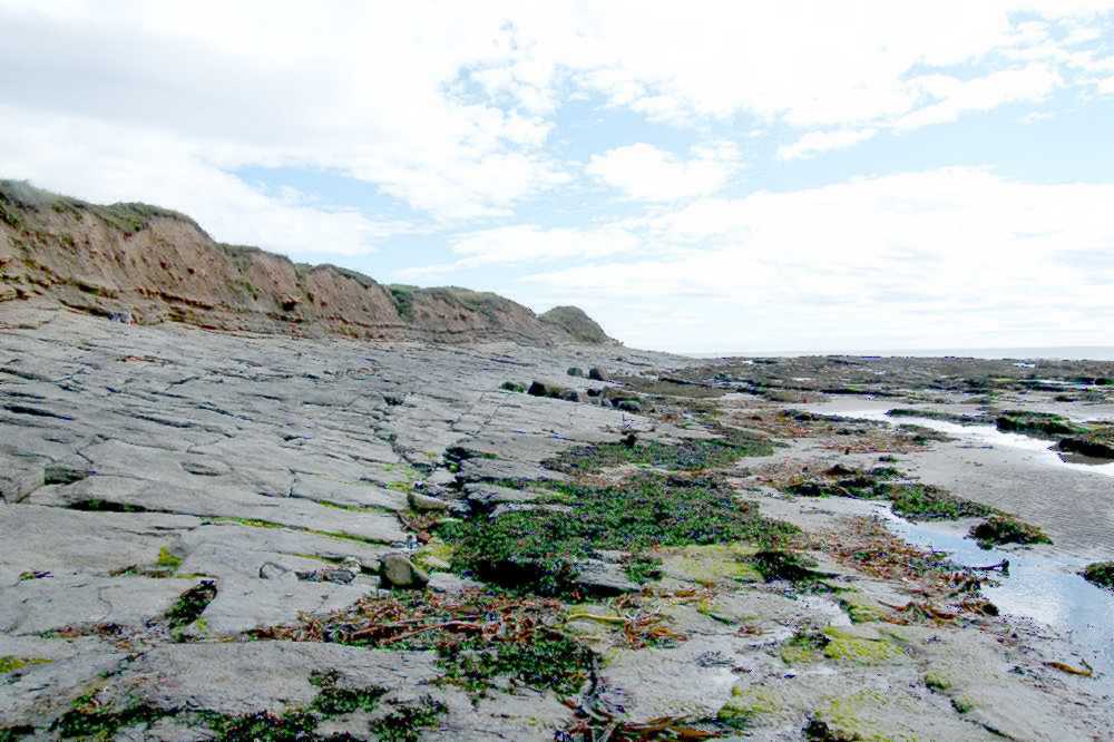 The limestone pavement.