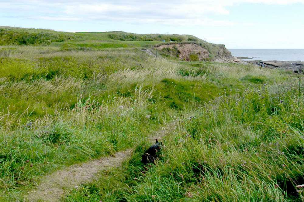 Path through the rough.