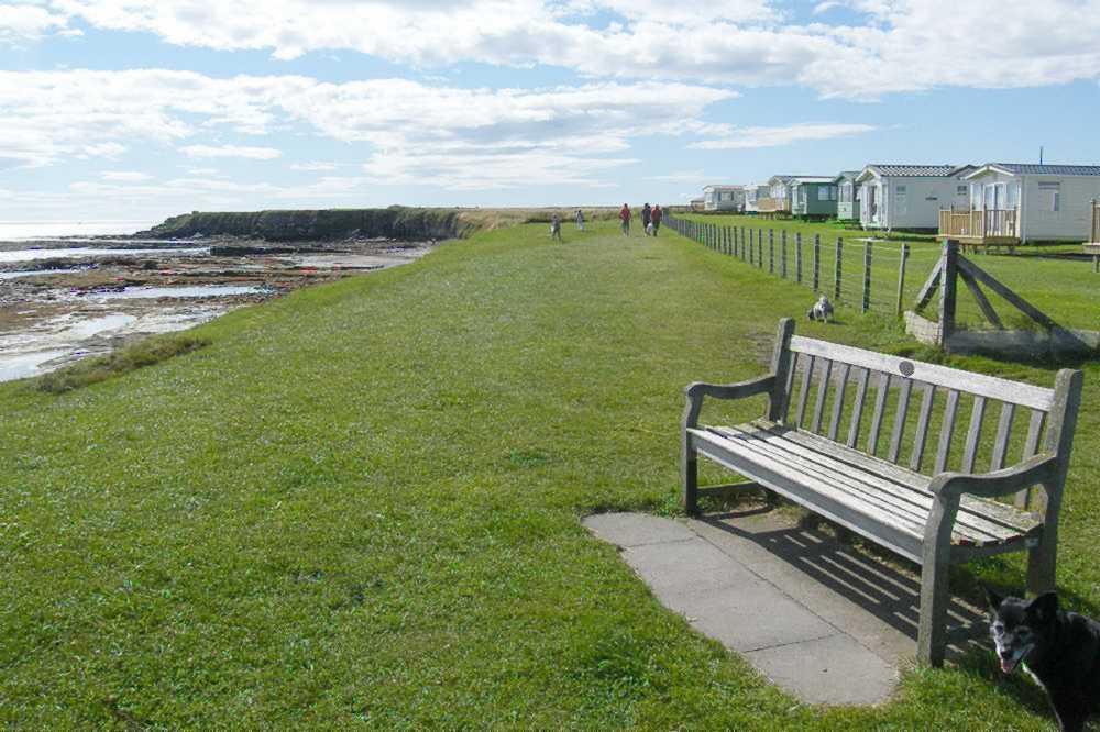 Grass promenade.