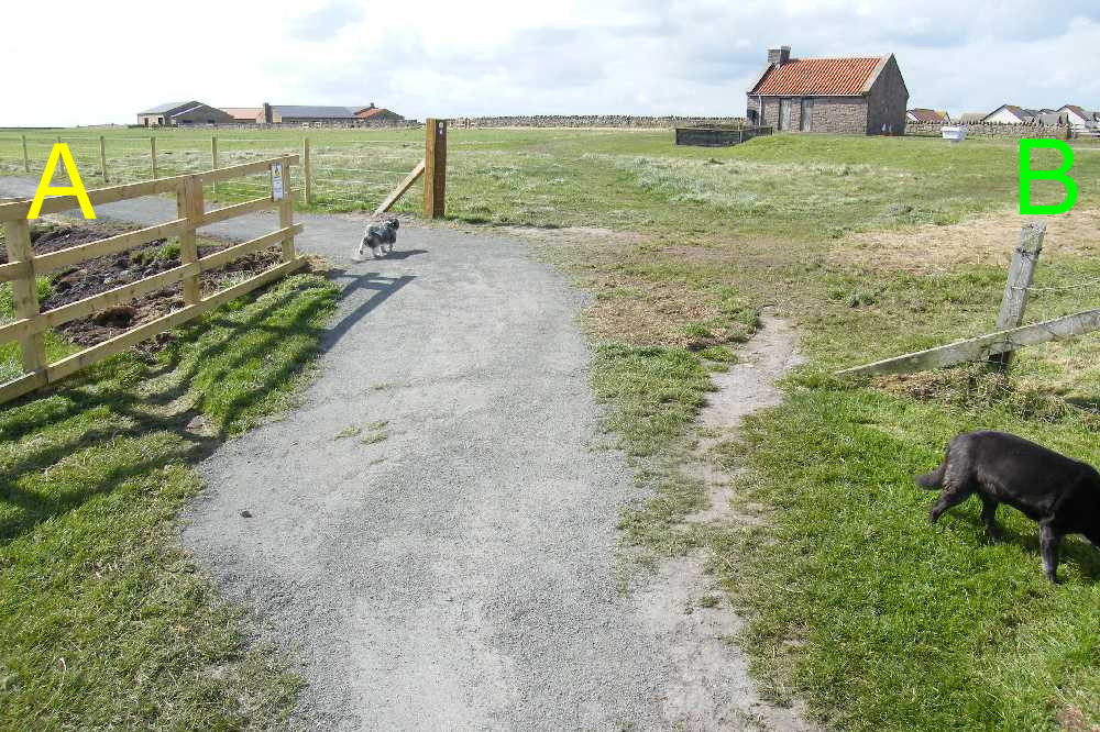 South-east corner of the caravan site.