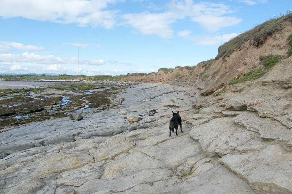 Limestone pavement.