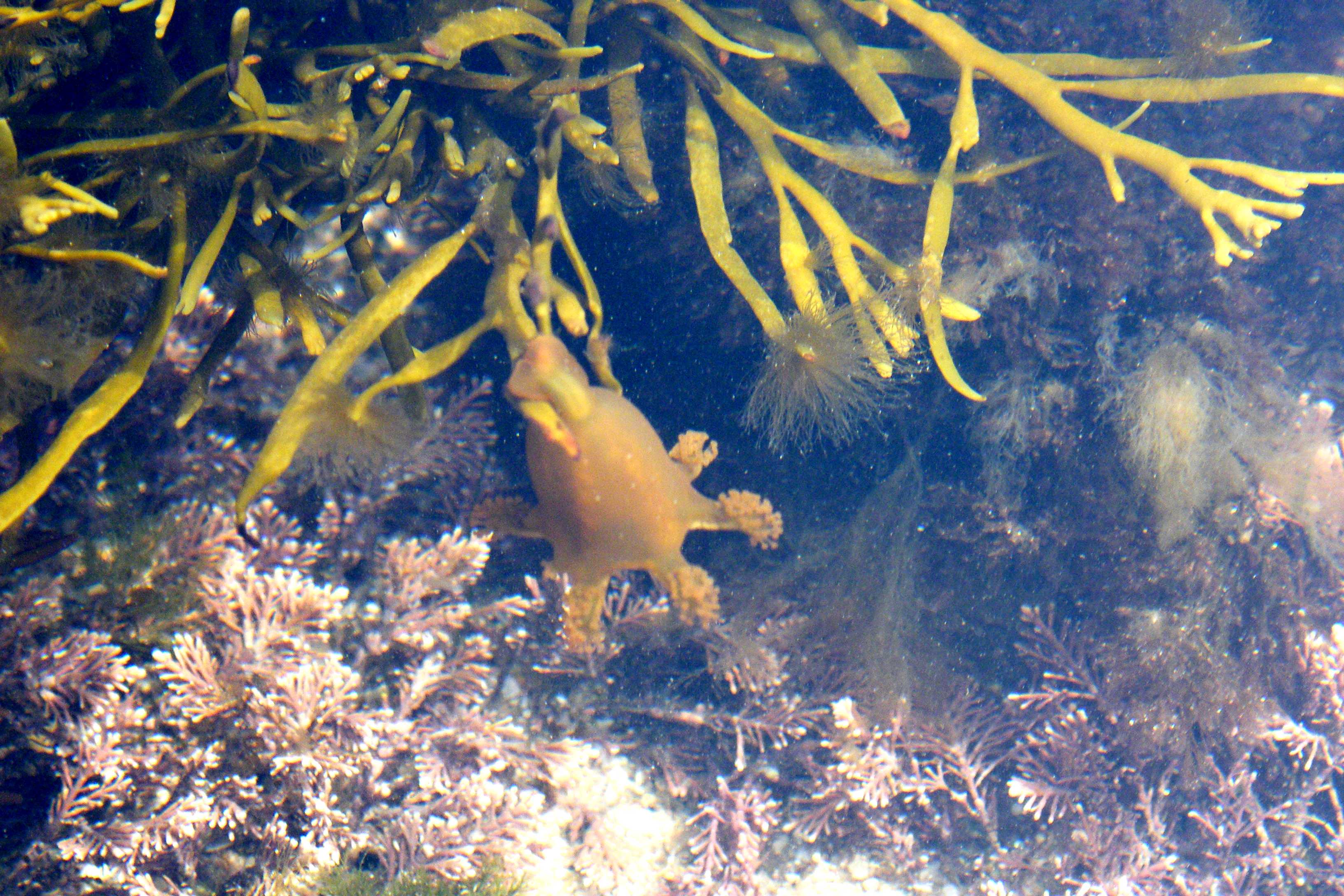 Looking down into the pool.