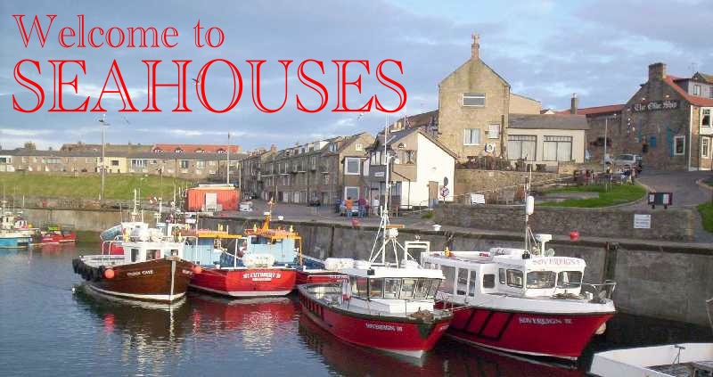 Seahouses harbour has many sea-houses on its western and southern sides.